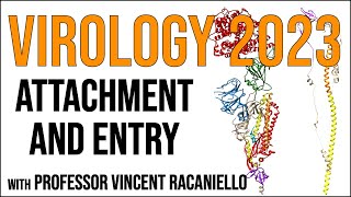 Virology Lectures 2023 5 Attachment and Entry [upl. by Maril]