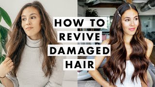 How to Fix Damaged Hair [upl. by Cone]