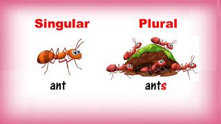 Singular and Plural Nouns  Class 1  CBSE [upl. by Brookhouse]