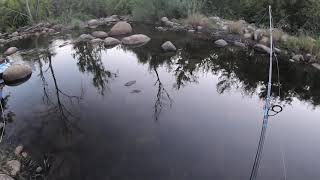 Fishing kaweah River three rivers CA [upl. by Ettevy131]