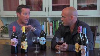 Organic Wine Vs SulfiteFree Wine [upl. by Analahs]