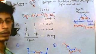 Antigens and antibodies [upl. by Leksehc581]