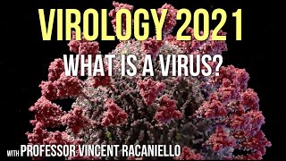 Virology Lectures 2021 1 What is a Virus [upl. by Eilagam408]