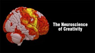 The Neuroscience of Creativity [upl. by Bonnette]