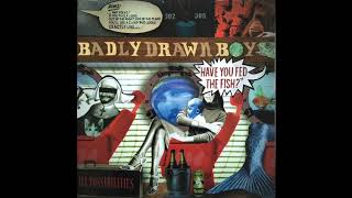 Badly Drawn Boy  Imaginary Lines [upl. by Anaeda]