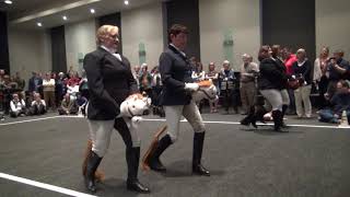 Stick Horse Dressage HIGHLIGHTS [upl. by Olympium]