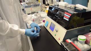 Basic Intro to Whole Cell Patch Clamp Electrophysiology [upl. by Somisareg]