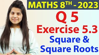 Q 5  Ex 53  Square and Square Roots  NCERT Maths Class 8th  Chapter 5 New Syllabus CBSE 2023 [upl. by Solohcin]