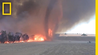 WATCH Fire Tornado Captured in Rare Video  National Geographic [upl. by Schinica]