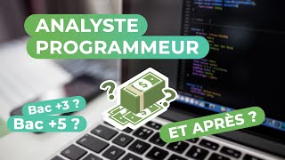 ANALYSTE PROGRAMMEUR  Présentation métier [upl. by Orozco]