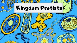 Kingdom of Protista [upl. by Enovaj]