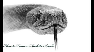 How to Draw a Realistic SnakeStep by Step Tutorial [upl. by Materse603]