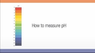 How to measure pH [upl. by Stacey854]