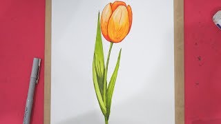 How To Draw Tulip Flower Step by Step in 8 Minutes [upl. by Griggs]