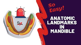 Anatomic landmarks in the mandible NEW [upl. by Selena]