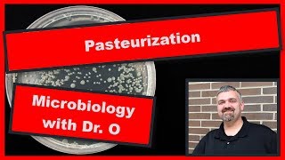 Pasteurization Microbiology [upl. by Adiazteb527]