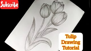 Easy Tulips Drawing For Beginners  Flower Drawing [upl. by Ettedanreb]