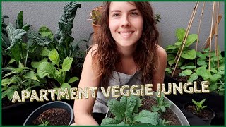 Apartment Veggie Garden Tour 🌿 Self Sufficiency in 2020 [upl. by Eniamzaj]