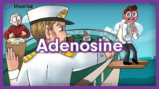 Adenosine Mnemonic for USMLE [upl. by Lacy]