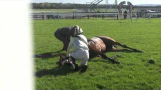 Racing horse death by accident in Galway [upl. by Netsrek]