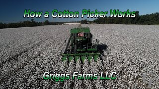 How A Cotton Picker Works 4K [upl. by Eseuqcaj]