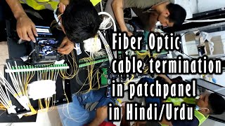 How to terminate Fiber Optic cable 2 Core in patch panel [upl. by Icnan351]