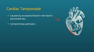 Chest Trauma Cardiac Tamponade [upl. by Ahtnahc]