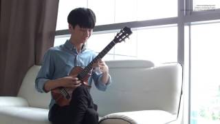 Johann Pachebel Canon – Sungha Jung Ukulele [upl. by Irafat]