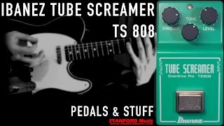 Ibanez TS808 Tube Screamer demo [upl. by Previdi]