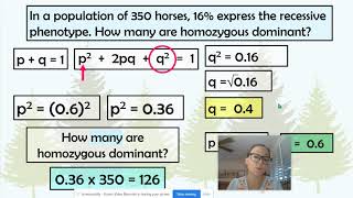 Example HardyWeinberg Problems [upl. by Eugenides218]