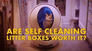 Are SELF CLEANING litter boxes WORTH IT [upl. by Annuhsal]