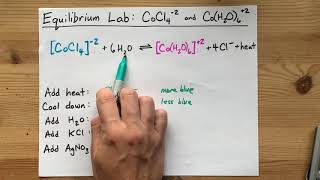 Equilibrium Lab ANSWERS Cobalt CoCl42 and CuH2O62 [upl. by Kalindi800]