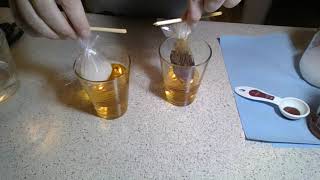 Diffusion Lab with Starch and Iodine 2020 [upl. by Dnomad]