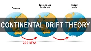 Continental Drift Theory  Alfred Wegener  Pangea  Gondwanaland [upl. by Eiramyma787]