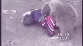 Khabib Nurmagomedov vs Bear [upl. by Edra]