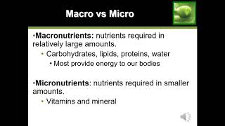 Quick Guide to Macros Macronutrients [upl. by Schnur]