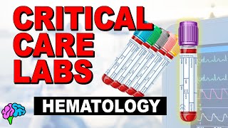 Hematology  Complete Blood Count CBC  Critical Care Labs [upl. by Sakram]