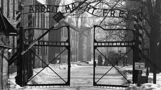 CNN Special Report Voices of Auschwitz [upl. by Ainaj]