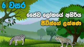 Grade 06 Science lessons in Sinhala  Unit 01 Part 2  6 වසර විද්‍යාව 01 පාඩම  ජෛව ලෝකයේ අසිරිය [upl. by Asilak]