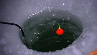 Bobber Down Ice Fishing  Michigan 2021  Crappie Walleye amp more [upl. by Aitnwahs]