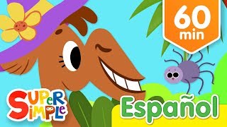 ¡Vamos Animales Vamos Y Más Canciones Infantiles  Música Para Niños [upl. by Eissehc]