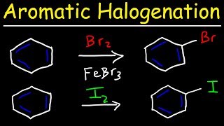 Aromatic Halogenation Mechanism  Chlorination Iodination amp Bromination of Benzene [upl. by Bart]