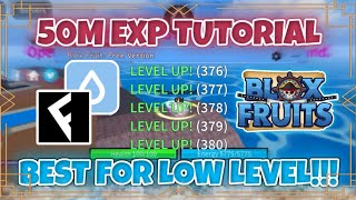 How to get 50M EXP for low level  Blox Fruits Script [upl. by Estrin]