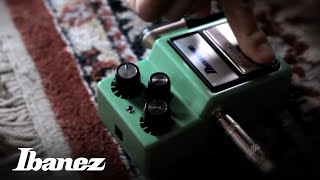 Ibanez TS9 Tube Screamer [upl. by Aldis]