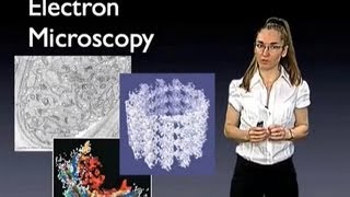 Eva Nogales UC Berkeley Introduction to Electron Microscopy [upl. by Colwen]