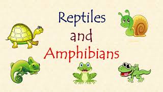 20 Reptiles and Amphibians  List of Reptiles with Pictures  List of Amphibians with Pictures [upl. by Callista826]