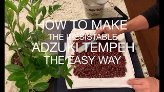 How To Make The Iresistable Adzuki Tempeh The Easy Way [upl. by Baniez]