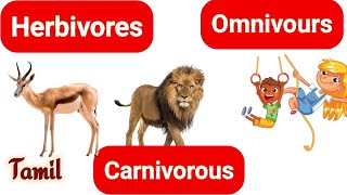 HERBIVORES  CARNIVOROUS  OMNIVOURS  explain in Tamil [upl. by Kenweigh]