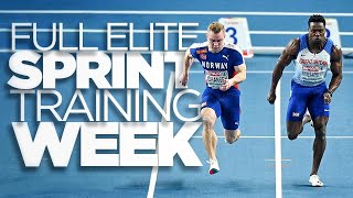 Elite Sprint Training Week  Road To 20 ³ [upl. by Joelle]