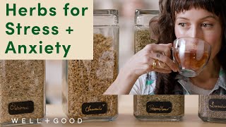 Common and Accessible Herbs for Stress and Anxiety  PlantBased  WellGood [upl. by Gilbart]